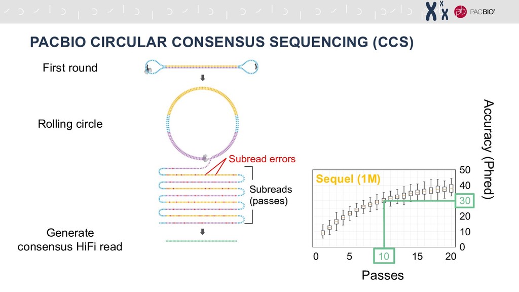 PACBio Circular Consensus Sequencing (CCS)